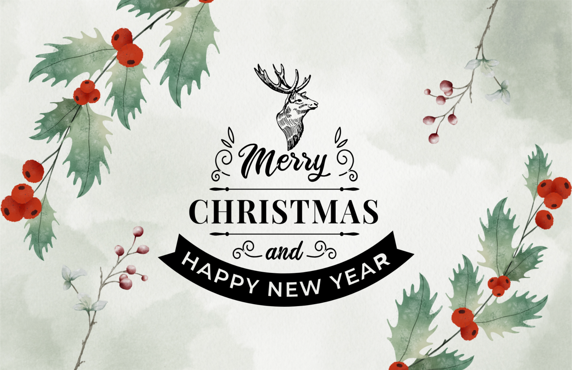 Premium Greeting Cards